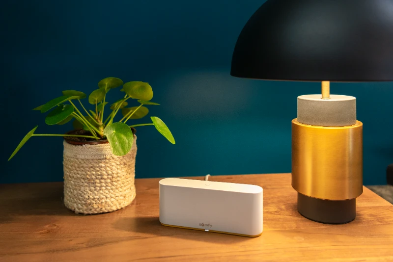 Shoot TaHoma switch_Jelena Stajic_2020_47